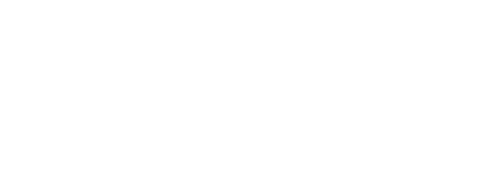 Elevem System